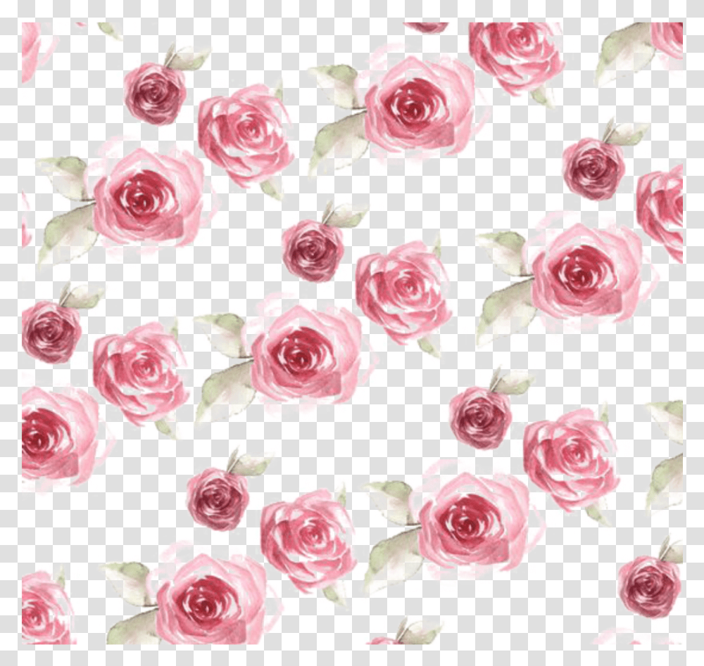 Ftestickers Watercolor Roses Background Overlay Rose Pattern, Flower, Plant, Blossom, Floral Design Transparent Png