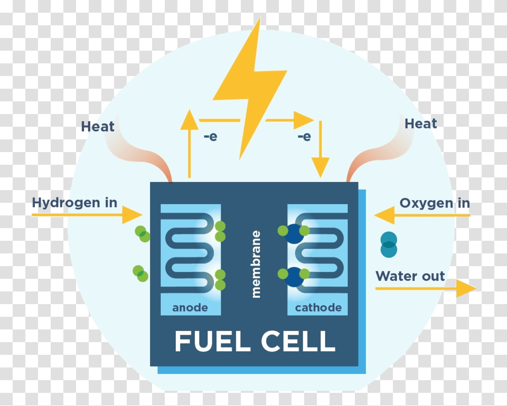 Fuel Cell Diagram, Label, Number Transparent Png