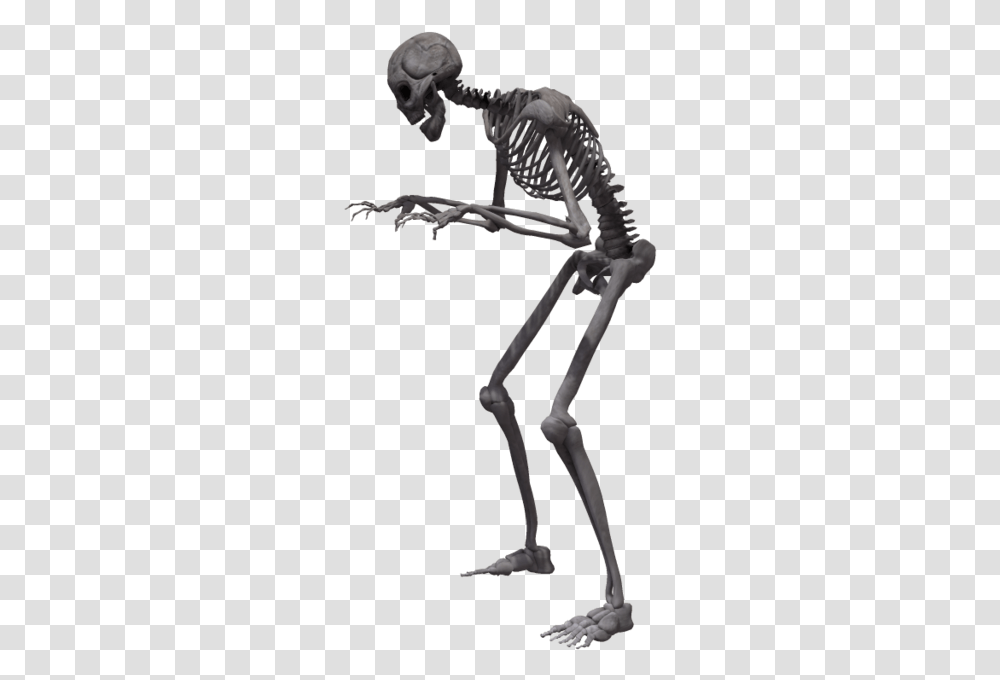Full Body Skeleton Background Skeleton Legs Background, Person, Human, Animal, Dinosaur Transparent Png