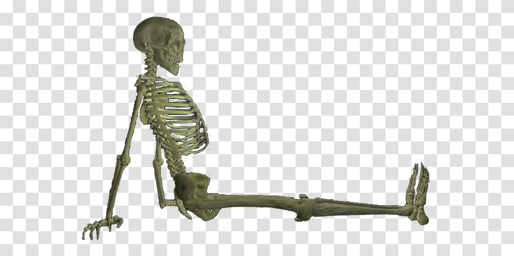 Full Body Skeleton Pic Shotgun, Bird, Animal Transparent Png