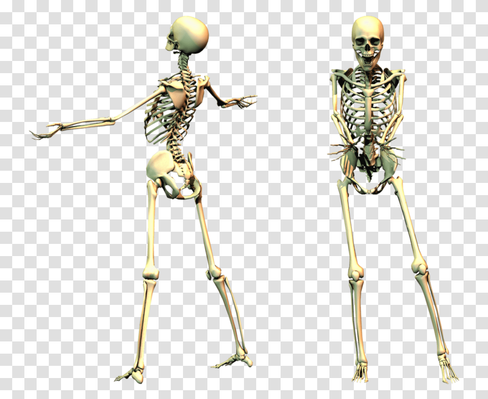 Full Body Skeleton Spooky Skeleton, Bow, Person Transparent Png