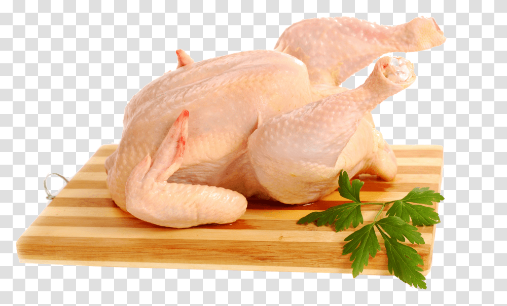 Full Chicken Free Background Daging Ayam Segar, Bird, Animal, Poultry, Fowl Transparent Png