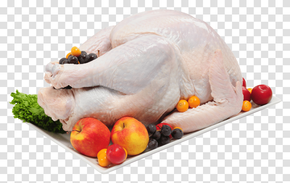 Full Chicken Free Image Download Turkey Meat, Bird, Animal, Poultry, Fowl Transparent Png