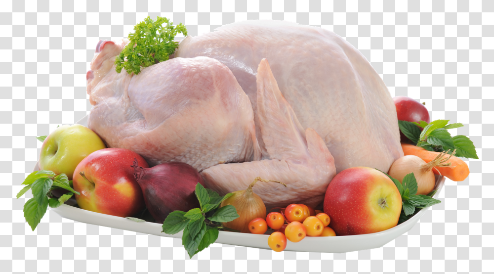 Full Chicken Photo Background Apple, Plant, Poultry, Fowl, Bird Transparent Png