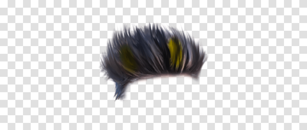 Full Hd Hair Hog Nosed Skunk, Chicken, Poultry, Fowl, Bird Transparent Png