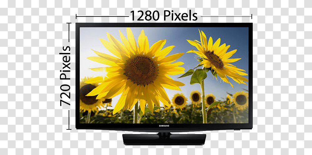 Full High Definition Tv Measurements, Monitor, Screen, Electronics, Display Transparent Png