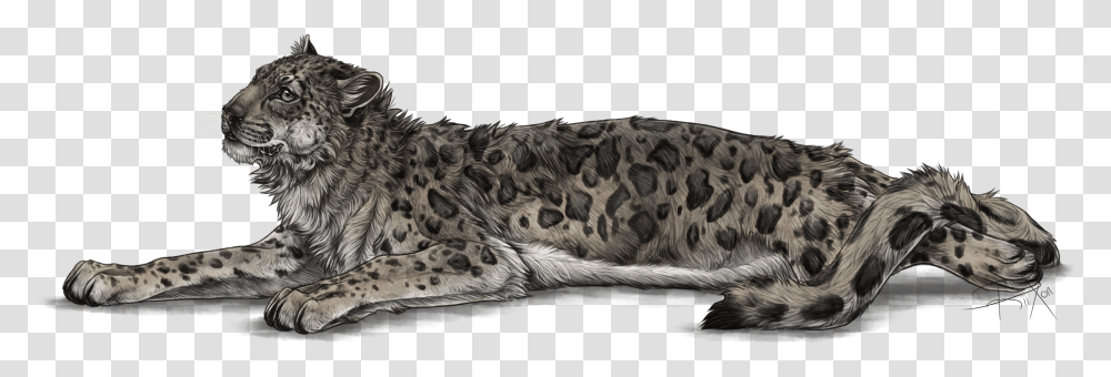 Full Image Of The Snow Leppy Decor By Rixon Snow Leopard Background, Panther, Wildlife, Mammal, Animal Transparent Png