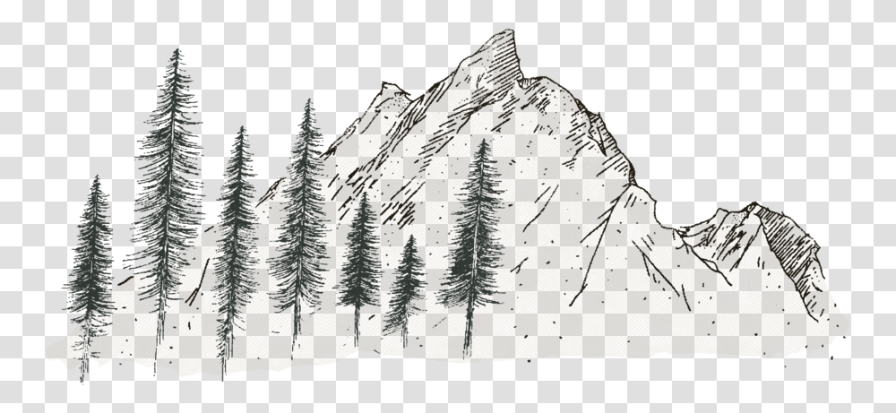 Full Mountain 01 Sketch, Tree, Plant, Drawing Transparent Png