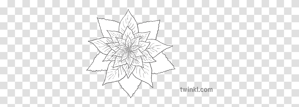 Full Poinsettia Flower Leaves Plant Christmas Xmas Festive Language, Symbol, Star Symbol, Person, Human Transparent Png