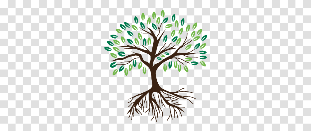 Full Size Image Artistic, Root, Plant, Tree, Poster Transparent Png