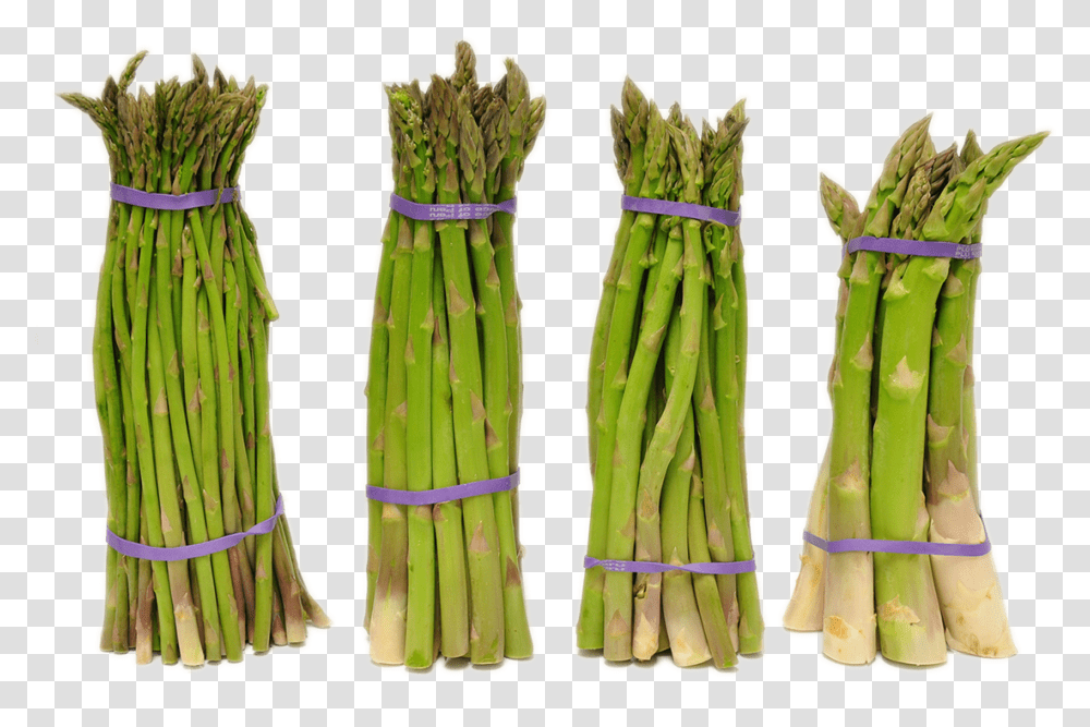 Full Size Image Asparagus, Plant, Vegetable, Food Transparent Png