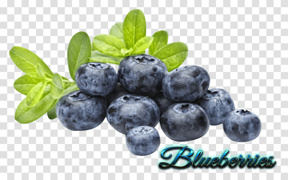 Full Size Image Blueberry, Plant, Fruit, Food, Fungus Transparent Png