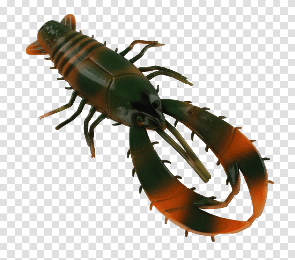 Full Size Image Centipede, Seafood, Insect, Invertebrate, Animal Transparent Png