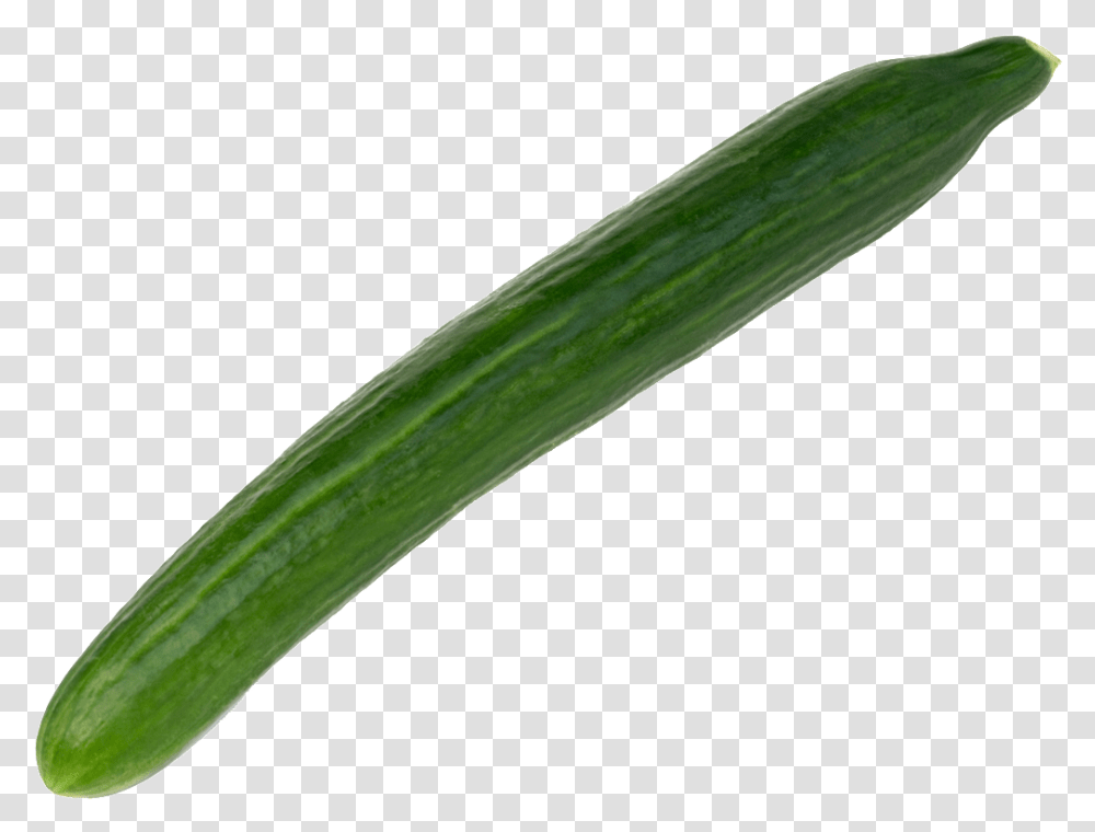 Full Size Image Cucumber, Plant, Vegetable, Food, Produce Transparent Png