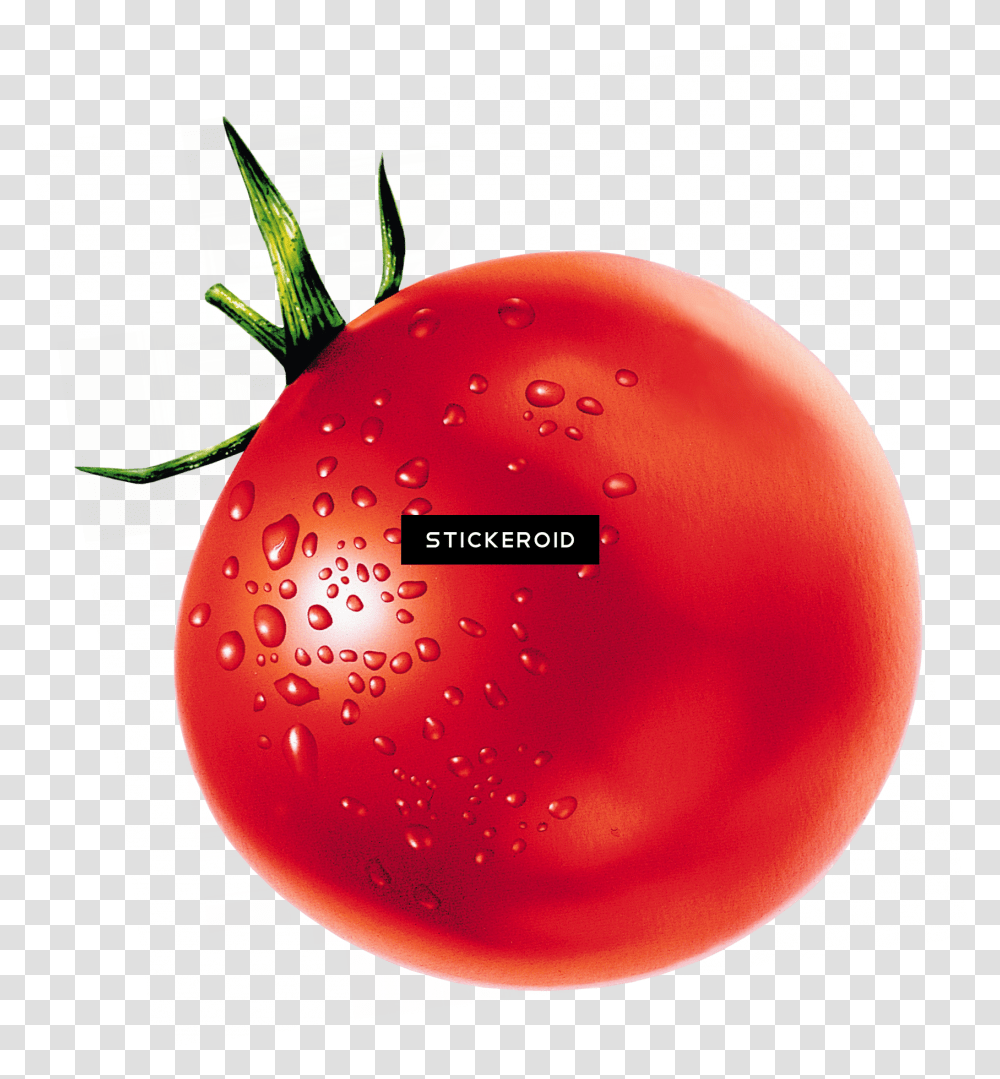 Full Size Image Tomato, Ball, Plant, Text, Sphere Transparent Png