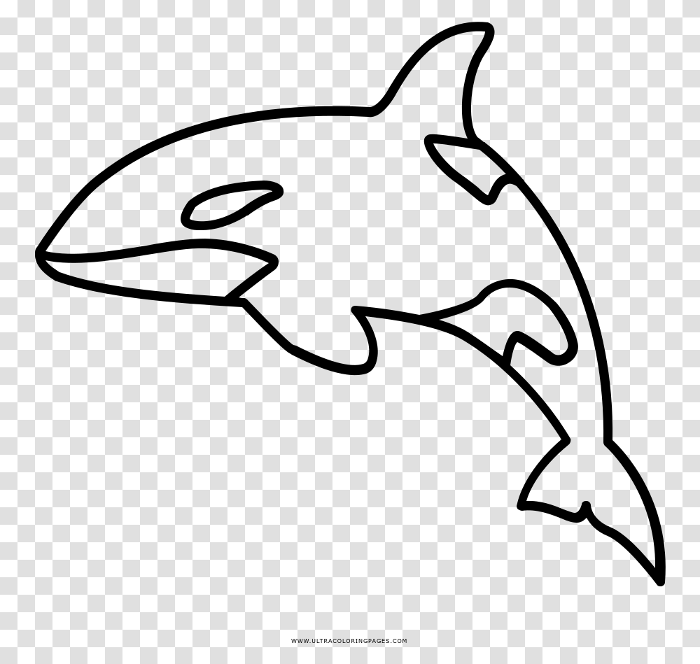 Full Size Of Coloring Book And Pages Outline Of Killer Whale, Gray, World Of Warcraft Transparent Png