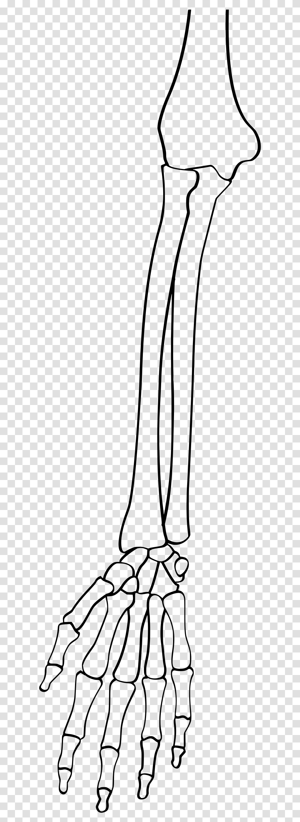 Full Size Of How To Draw Anime Anatomy Shoes Drawing Line Art, Gray, World Of Warcraft Transparent Png