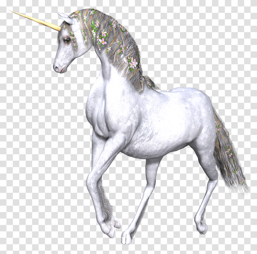 Full White Unicorn Flowers In Manes Mythical Creature Transparency, Antelope, Wildlife, Mammal, Animal Transparent Png