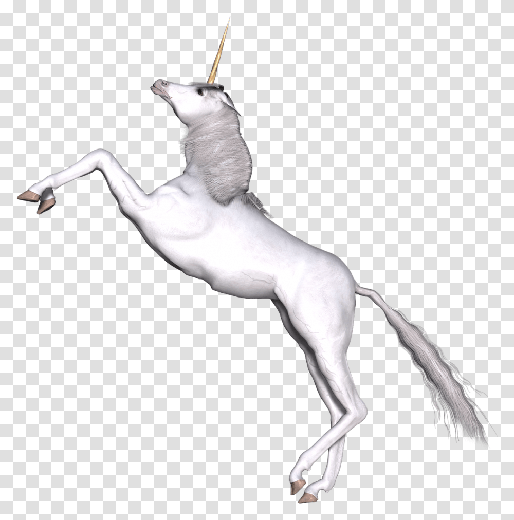 Full White Unicorn Prancing Unicorn, Animal, Mammal, Horse, Bird Transparent Png