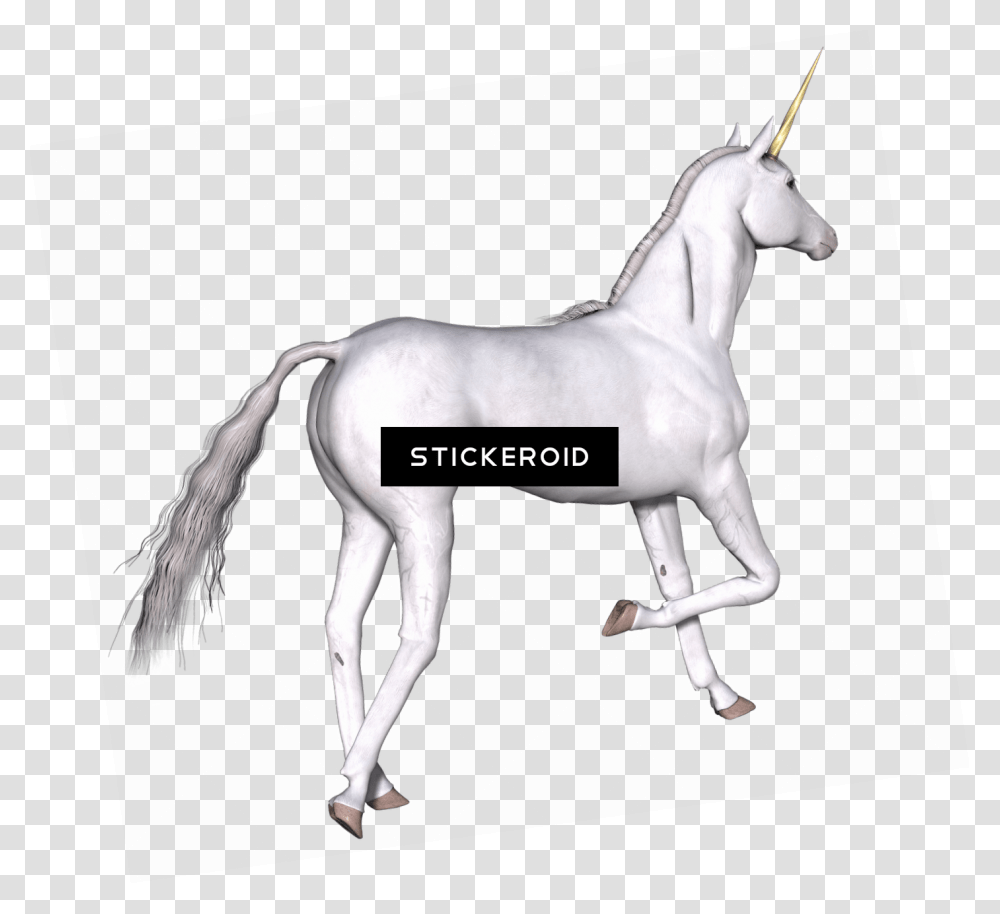 Full White Unicorn Right Leg Up Unicornio Real, Horse, Mammal, Animal, Colt Horse Transparent Png