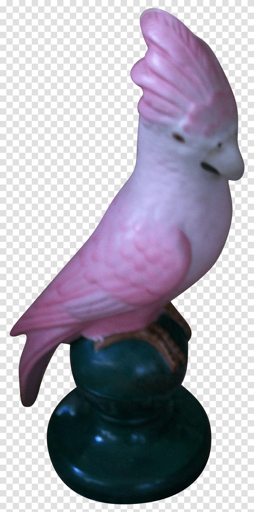Fulper Parrot Cockatoo Perfume Motif Boudoir Lamp 1910 1929 Cockatoo, Dove, Pigeon, Bird, Animal Transparent Png