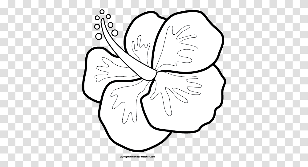 Fun And Free Luau Clipart Ready For Personal And Commercial, Plant, Flower, Blossom, Hibiscus Transparent Png