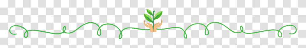 Fun Divider, Plant, Bud, Sprout, Flower Transparent Png