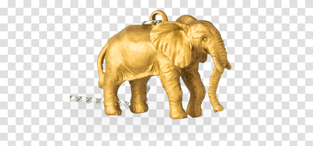 Fun Infuser Gold Elephant Indian Elephant, Wildlife, Mammal, Animal, Figurine Transparent Png