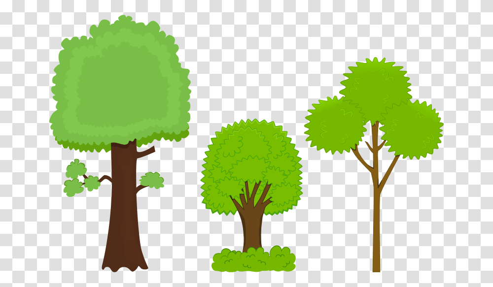 Fun Morning Cliparts, Plant, Tree, Palm Tree, Root Transparent Png