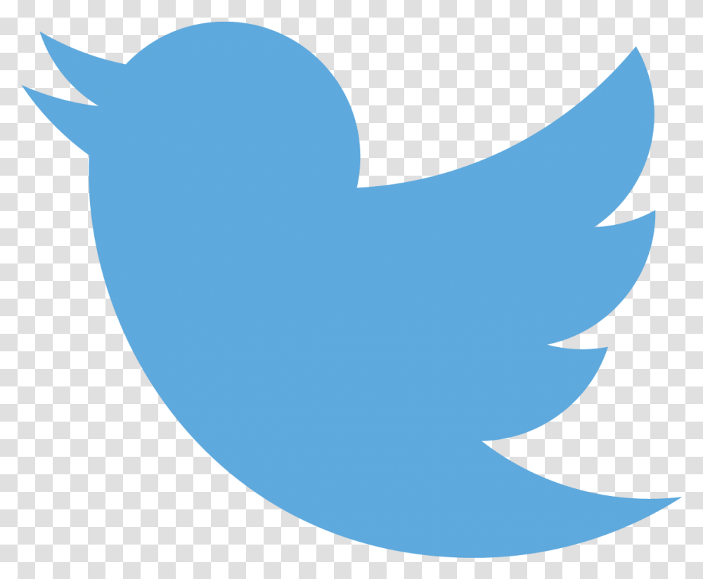 Fun Twitter Bird Background Images Burung, Text, Label Transparent Png