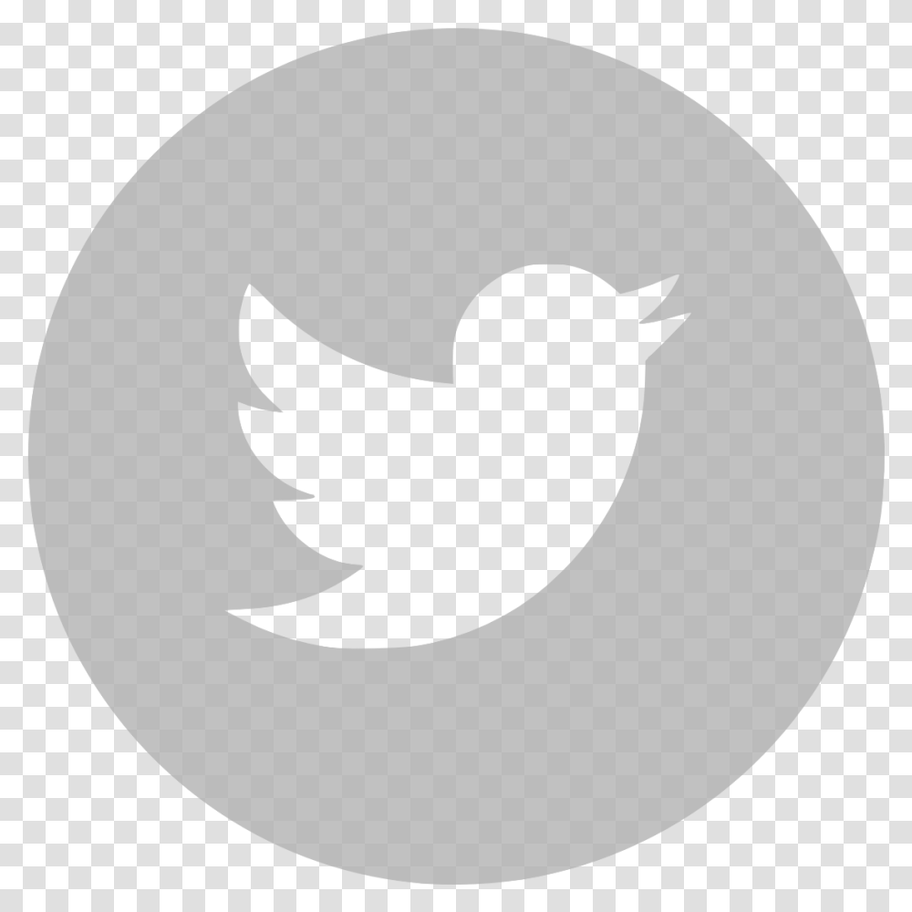 Fun Twitter Icon Grey Images Twitter White Circle Logo, Stencil, Symbol, Text, Bird Transparent Png