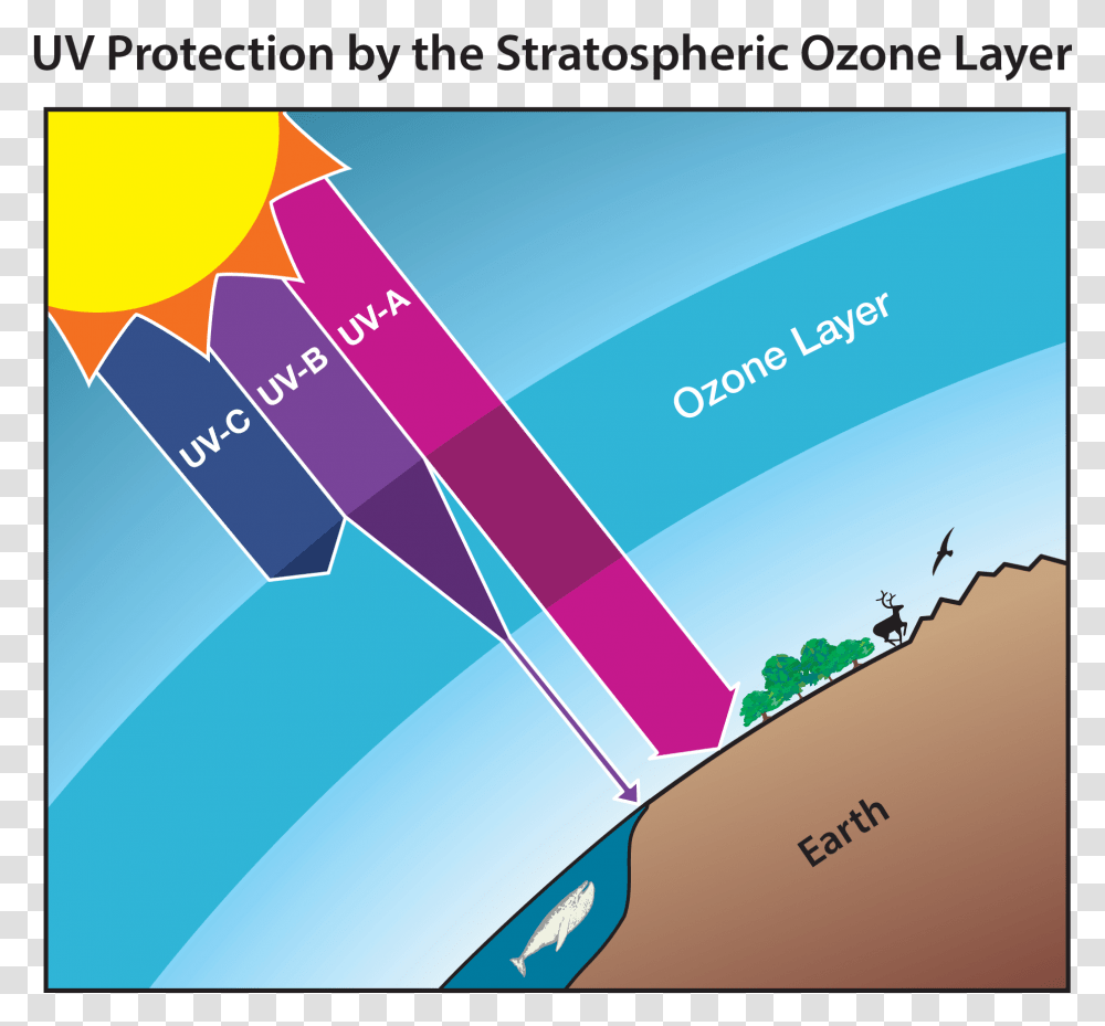 Functions Of Ozone Layer, Flyer, Poster Transparent Png