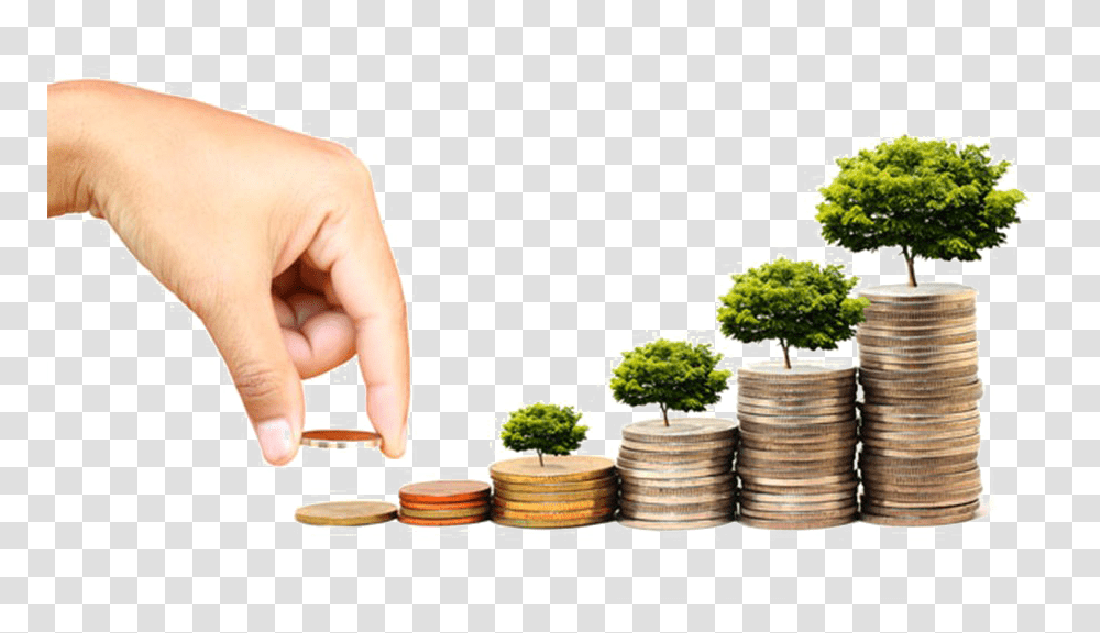 Fund Free Mutual Fund Investment, Person, Plant, Jar, Vase Transparent Png
