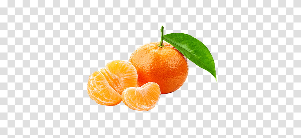 Fundo Sofruco, Orange, Citrus Fruit, Plant, Food Transparent Png