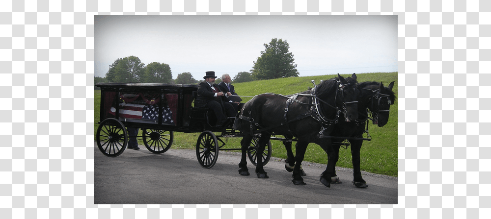 Funeral Carriages Horse And Buggy, Wheel, Machine, Person, Vehicle Transparent Png