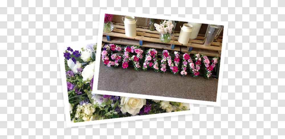 Funeral Flowers Hampshire Garden Roses, Plant, Blossom, Flower Arrangement, Flower Bouquet Transparent Png