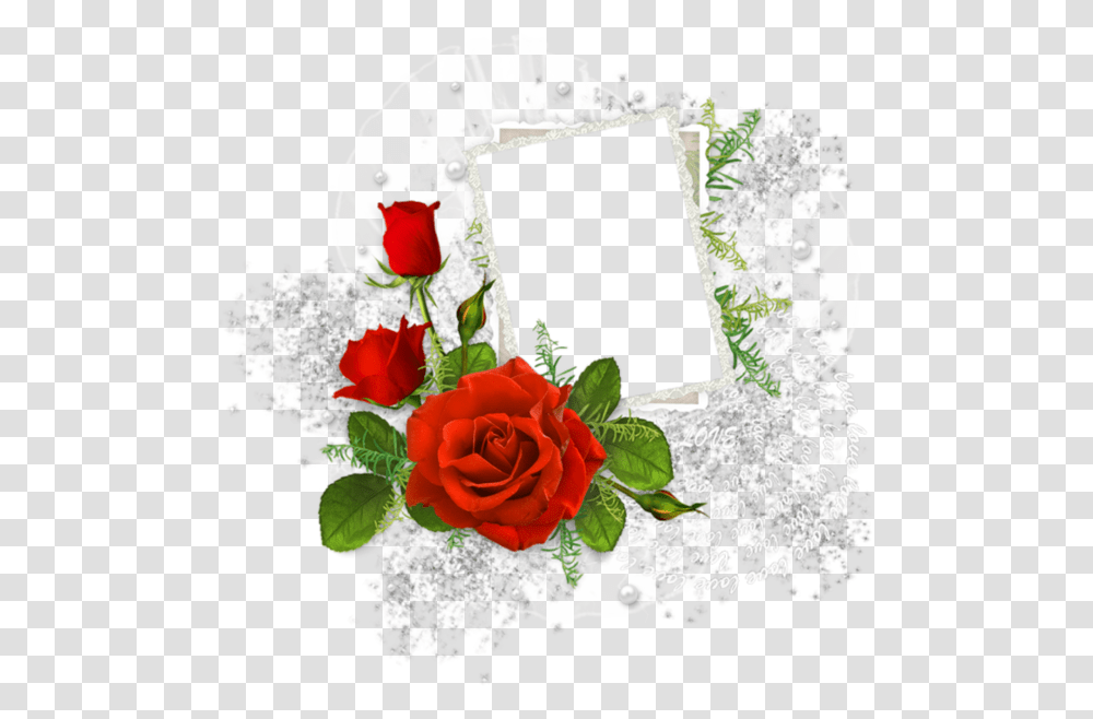 Funeral Frames And Borders, Plant, Rose, Flower, Blossom Transparent Png
