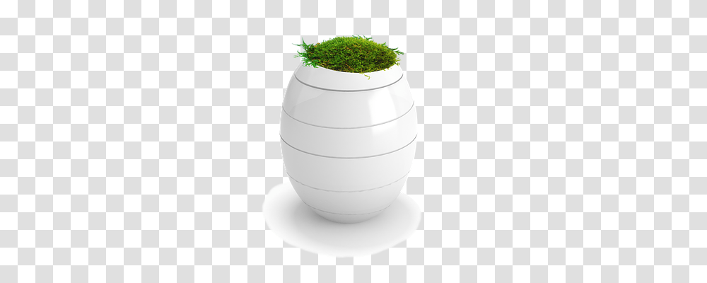 Funeral Urns Nature, Plant, Potted Plant, Vase Transparent Png