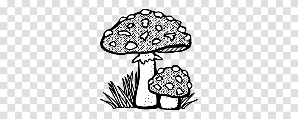 Fungal Nature, Plant, Doodle, Drawing Transparent Png