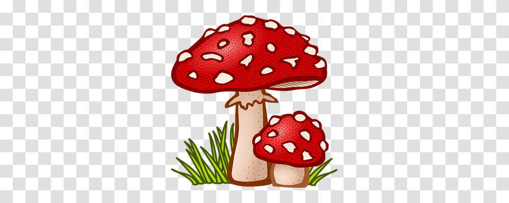 Fungal Nature, Plant, Agaric, Mushroom Transparent Png