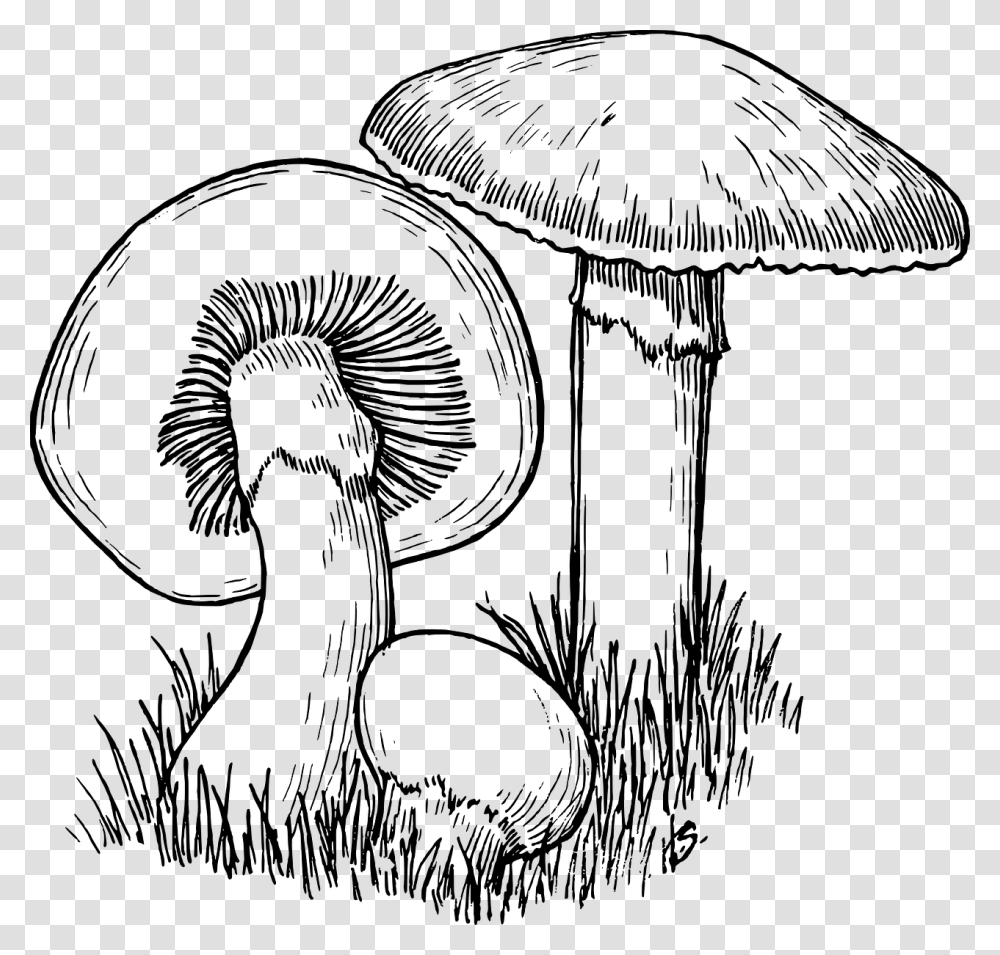 Fungi Black And White, Gray, World Of Warcraft Transparent Png