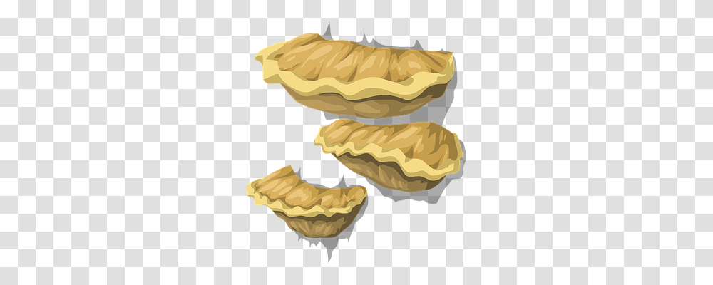 Fungus Nature, Plant, Vegetable, Food Transparent Png