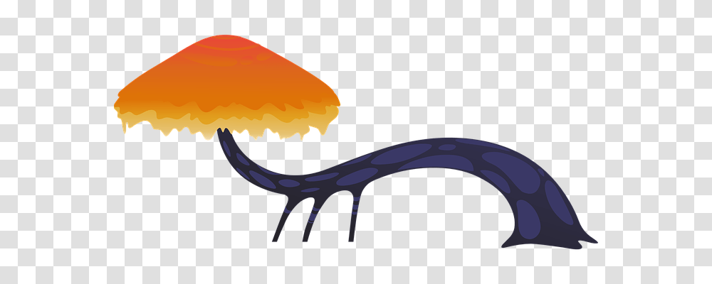 Fungus Nature, Animal, Sunglasses, Accessories Transparent Png