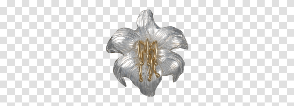 Fungus, Jewelry, Accessories, Accessory Transparent Png