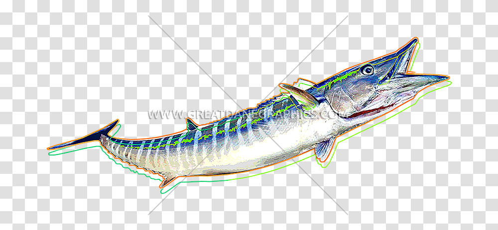 Funky Production Ready Artwork Ray Finned Fish, Animal, Sea Life, Coho, Fishing Lure Transparent Png