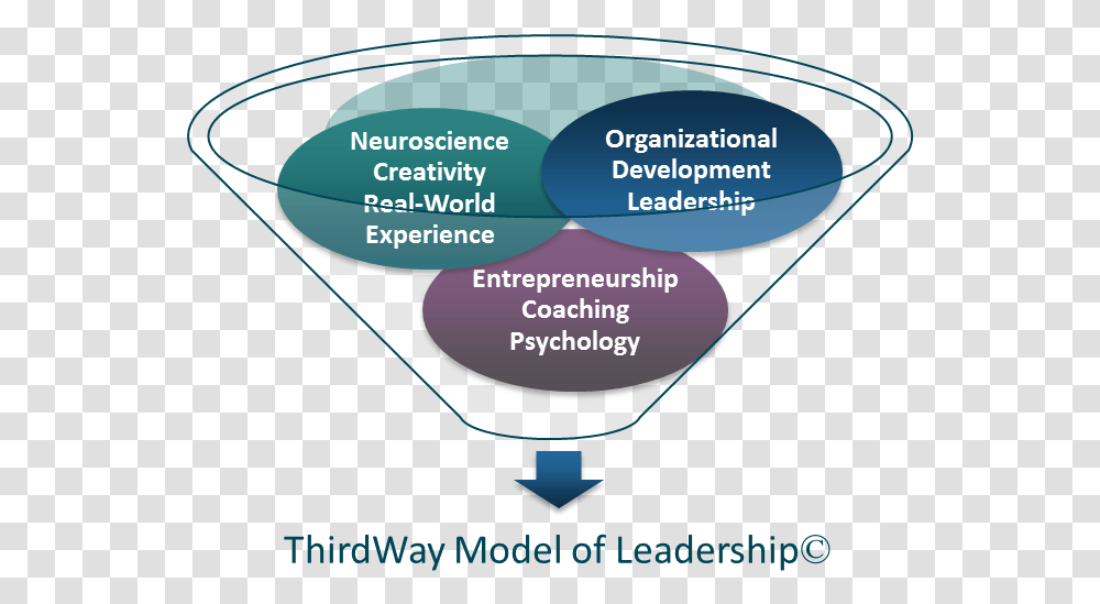 Funnel Leadership Theory Of Entrepreneurship, Disk, Plectrum, Building, Soil Transparent Png