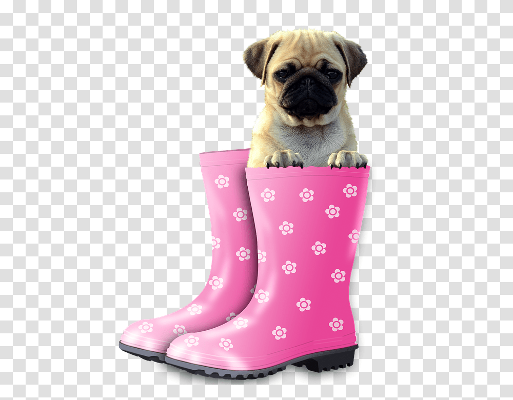 Funny 960, Animals, Apparel, Pet Transparent Png