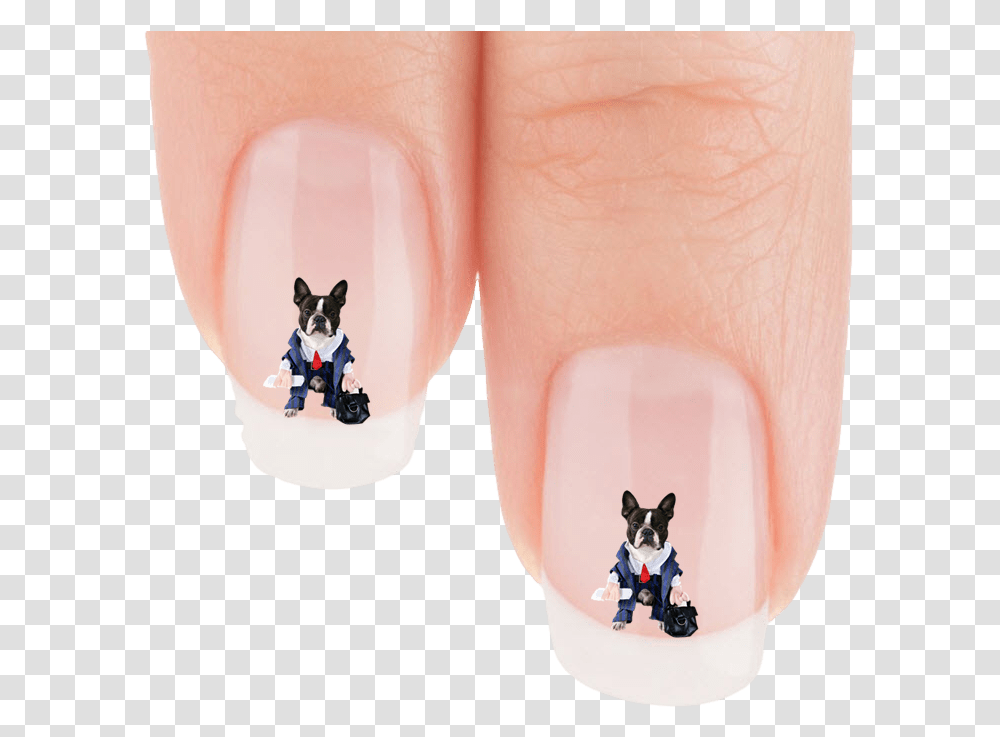 Funny Boston Terrier, Person, Human, Manicure, Nail Transparent Png