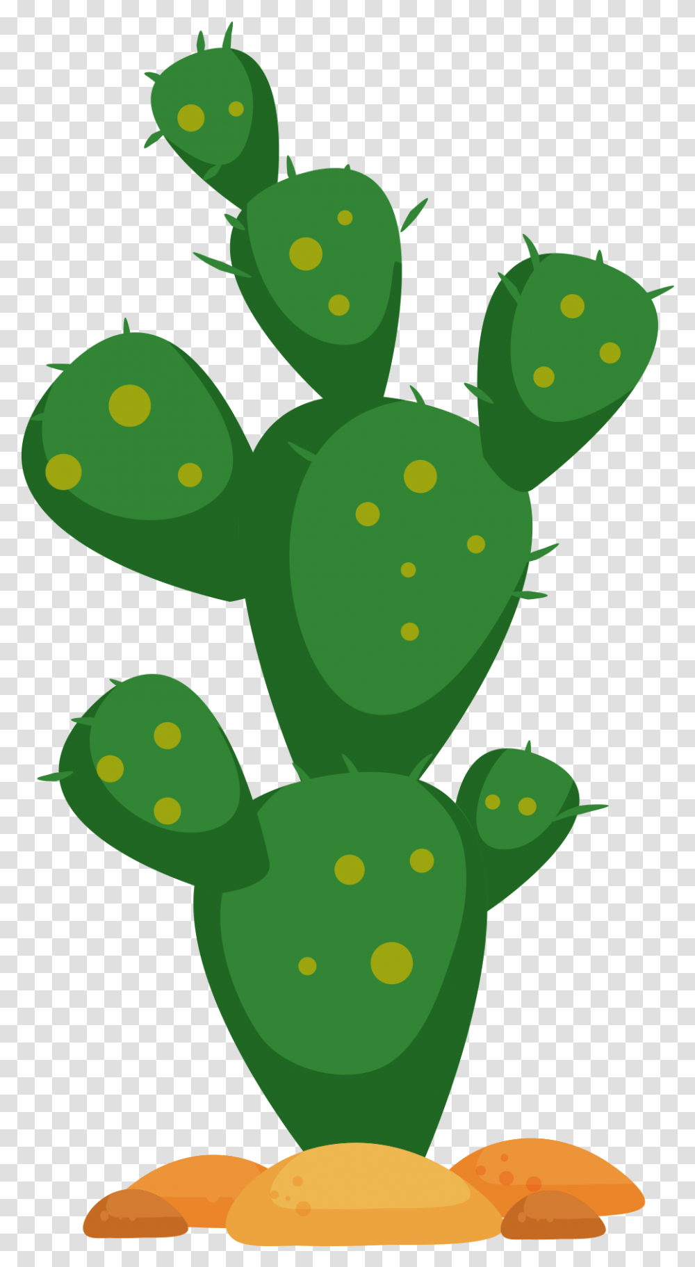 Funny Cactus Cactus Clipart, Plant, Green Transparent Png