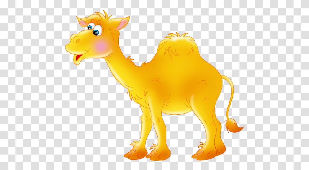 Funny Camel Pictures Clipart Verblyud Na Prozrachnom Fone, Mammal, Animal, Horse Transparent Png